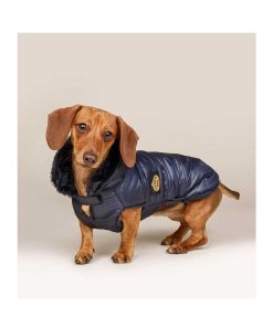 Ropa Fashion Dog | Abrigo Para Perro Plumas Azul Marino Fd