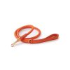 Pasear Due punto Otto - Design for Dogs Correas De Piel | Correa Cuero Para Perros - Ferdinando Naranja