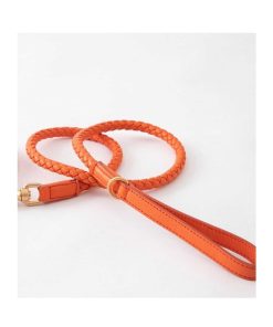 Pasear Due punto Otto - Design for Dogs Correas De Piel | Correa Cuero Para Perros - Ferdinando Naranja