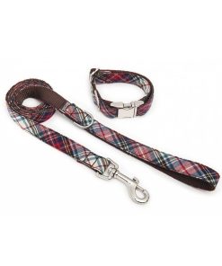 Pasear Brott Barcelona Collares De Nylon | Collar De Perro Textura Bot