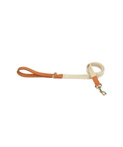 Pasear Fantail Correas De Piel | Correa De Cuero Para Perro Tau Camel