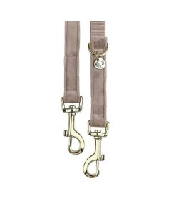 Pasear Kentucky Correas De Nylon | Correa Multiposici N Perro Beige