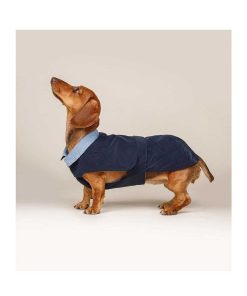 Ropa Ferribiella | Abrigo Para Perro - Trench Prestige Azul