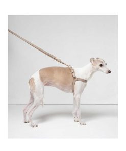 Pasear Due punto Otto - Design for Dogs Arneses De Piel | Arn S Cuero Para Perro - Mario Beige