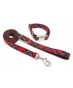 Pasear Brott Barcelona Collares De Nylon | Collar De Perro Textura Tremp