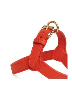 Pasear Perro Collection Arneses De Piel | Arn S Cuero Para Perro - Fiamma