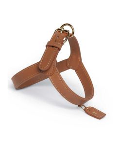 Pasear Perro Collection Arneses De Piel | Arn S Cuero Para Perro - Caramel