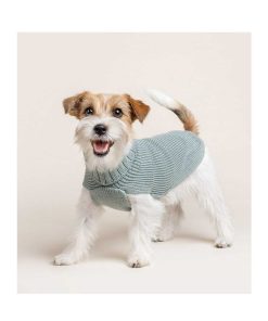 Ropa Fashion Dog | Jersey Para Perro Costa Inglese Verde (100% Lana Merino)