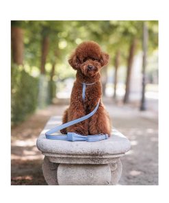 Pasear Carlotta Palermo Arneses De Piel | Arn S Cuero Para Perro - Nuvola Azul