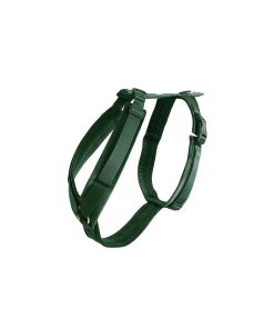 Pasear Kentucky Arneses De Nylon | Arn S Perro Active Velvet Verde