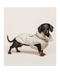 Ropa Fashion Dog | Abrigo Para Perro Plumas Beige