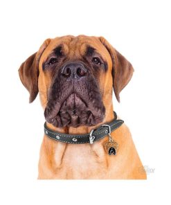 Pasear My Family Razas | Chapa Perro Friends Bullmastiff