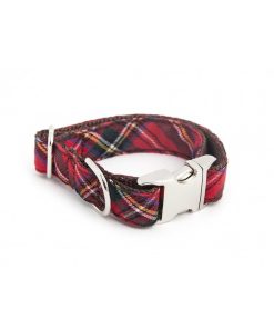 Pasear Brott Barcelona Collares De Nylon | Collar De Perro Textura Tremp