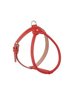 Pasear Wouapy Arneses De Piel | Arn S Cuero Para Perro - Praga Rojo