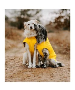 Ropa Hunter | Impermeable Para Perros Amarillo Milford