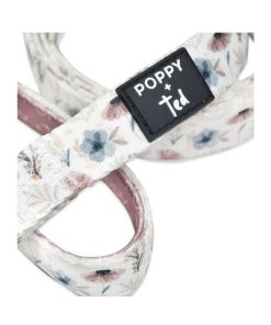 Pasear Poppy + Ted Correas De Nylon | Correa Perro P Talos