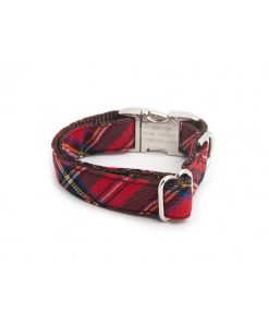 Pasear Brott Barcelona Collares De Nylon | Collar De Perro Textura Tremp