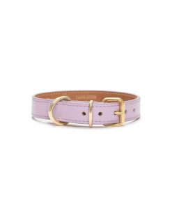 Pasear Branni Pets Collares De Piel | Collar Cuero Perro Juno Lavanda