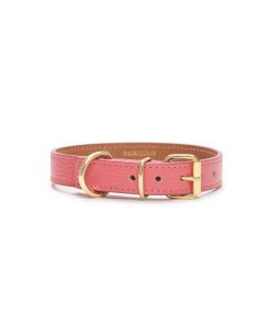 Pasear Branni Pets Collares De Piel | Collar Cuero Perro Juno Coral