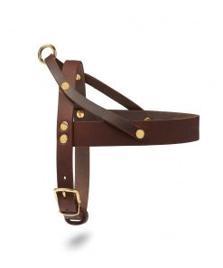 Pasear Molly and Stitch Arneses De Piel | Arn S Cuero Para Perro - Butter Classic Brown