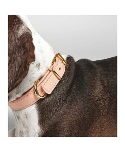 Pasear Branni Pets Collares De Piel | Collar Cuero Perro Juno Melocot N