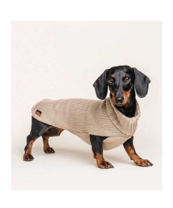 Ropa Fashion Dog | Jersey Para Perro Costa Inglese Beige (100% Lana Merino)