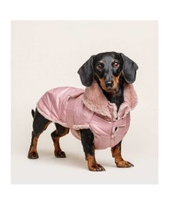 Ropa Fashion Dog | Abrigo Para Perro Plumas Rosa