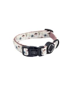 Pasear Poppy + Ted Collares Perro Peque O | Collar Perro P Talos