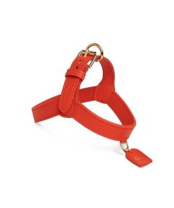 Pasear Perro Collection Arneses De Piel | Arn S Cuero Para Perro - Fiamma