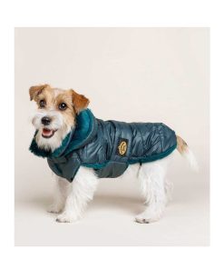 Ropa Fashion Dog | Abrigo Para Perro Plumas Verde