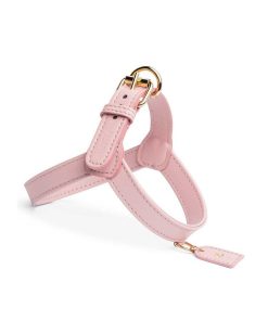 Pasear Perro Collection Arneses De Piel | Arn S Cuero Para Perro - Blush