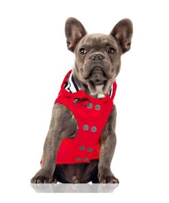 Ropa Milk & Pepper | Impermeable Para Perros Babord Rojo